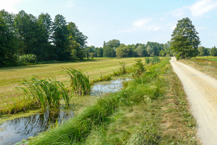 Gurkenradweg von Burg nach Leipe © MOs810/CC BY-SA 3.0 Gurkenradweg von Burg nach Leipe © MOs810/CC BY-SA 3.0